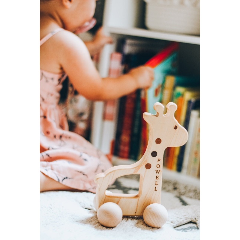 Bannor Giraffe Push Toy