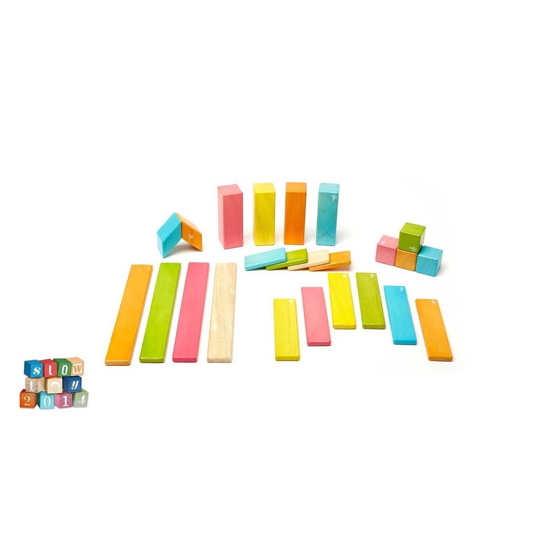 Tegu 24 Piece Magnetic Wooden Block Set: Tints