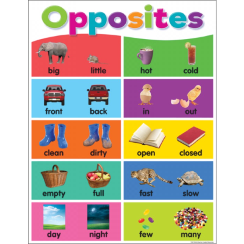 CHART: OPPOSITES COLORFUL