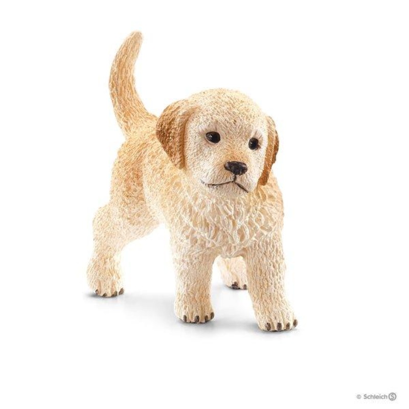 GOLDEN RETRIEVER PUPPY