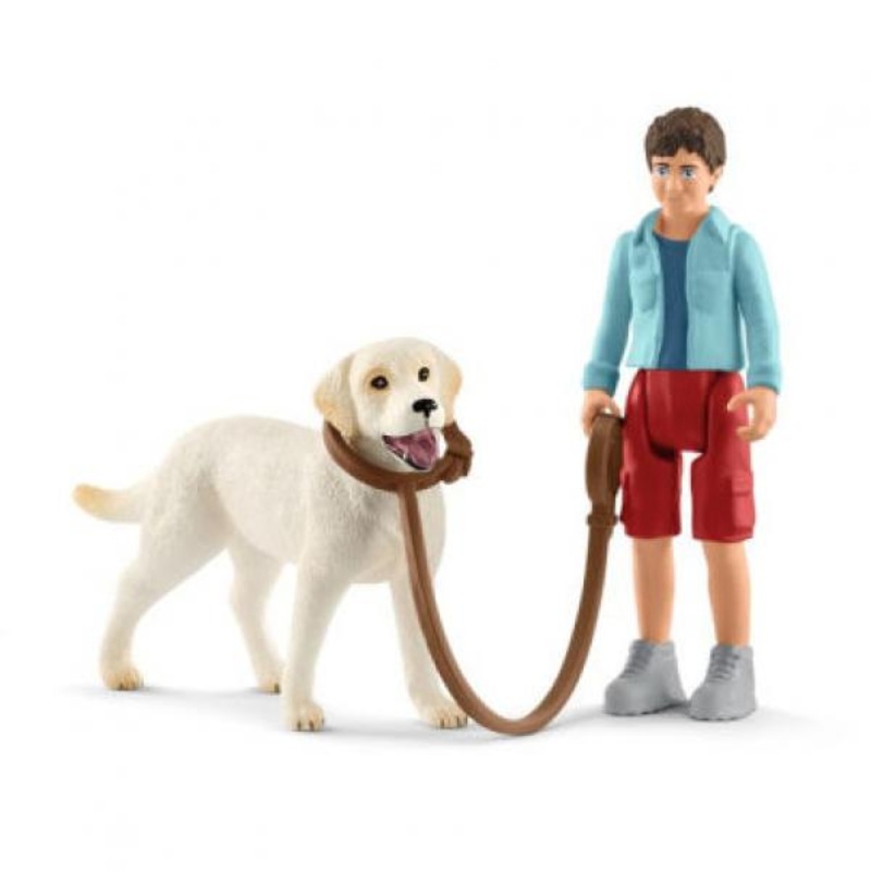 WALKING WITH LABRADOR RETRIEVER