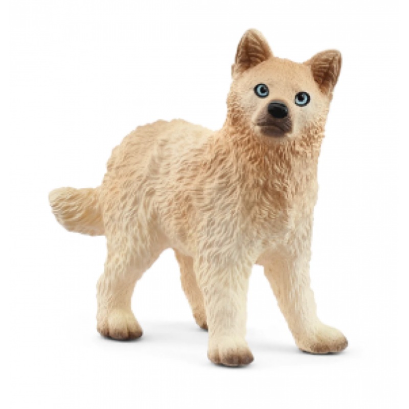 ARCTIC WOLF CUB