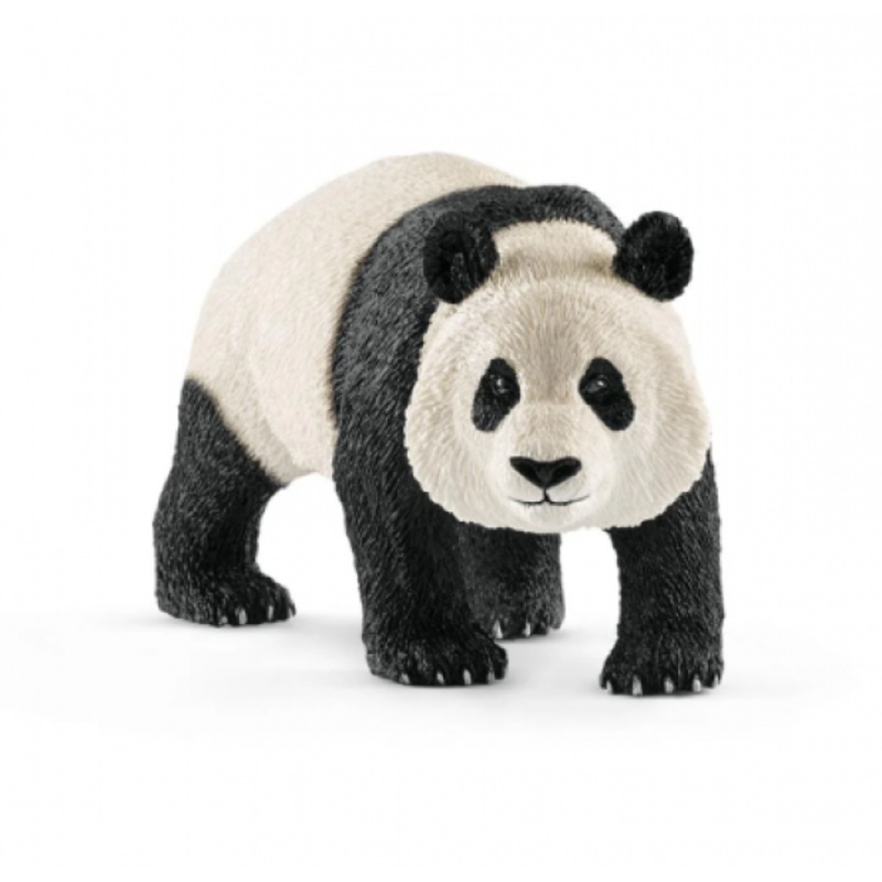 GIANT PANDA