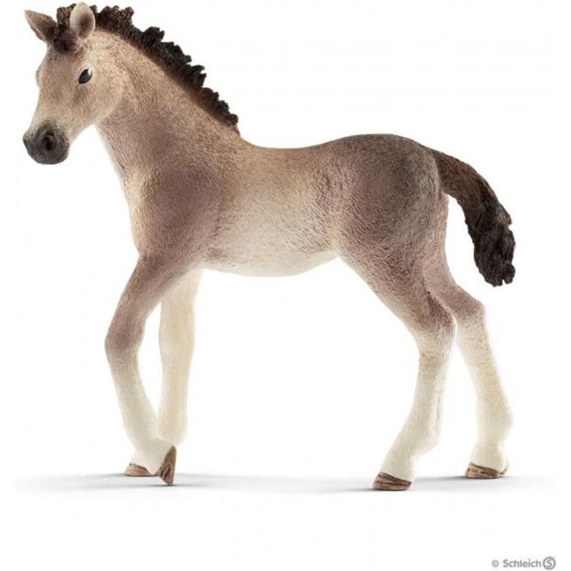 ANDALUSIAN FOAL