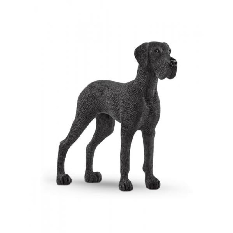 GREAT DANE